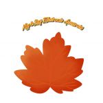 Changsha Maple Leaf Electronic Accessories Co, ltd