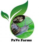 pave farms