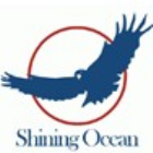 Shenzhen SHINING Ocean International Logistics Co., Ltd.