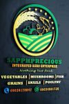 Sapphprecious Integrated Agro Enterprise