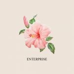 Hibiscus Enterprise