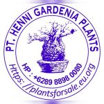 HENNI GARDENIA PLANTS