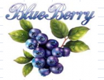 BLUEBERRY EXPORTS LTD.