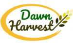 CV Dawn Harvest