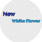 New White Flower Garments