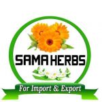 Egypt Flowers export