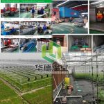 Qingzhou Huade Greenhouse Engineering Co. LTD