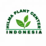 Hilma plant center indonesia