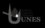 LIMITED LIABILITY COMPANY "UNES"