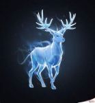 Expecto Patronum Co., Ltd