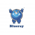 Shandong Blueray Piston Co., Ltd