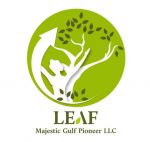 Majestic gulf pioneer LLC
