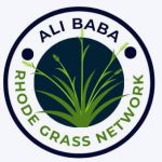 alibaba rhode grass network
