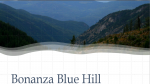 Bonanza Blue Hill corporation