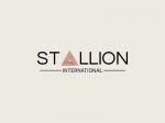 STALLION INTERNATIONAL