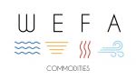 WEFA COMMODITIES FZE