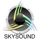 SKYSOUND GROUP LIMITED