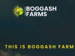 Boggash farms