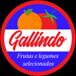 Gallindo Exportadora