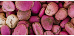 lebtam global resource limited