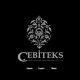 CEBITEKS AS