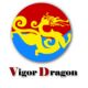 Foshan Vigor Dragon Stainless Steel Co., Ltd