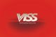 VISS international Holdings Limited
