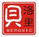Beronic Industrial Co., Ltd.