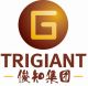 Jiangsu Trigiant Technology Co., Ltd