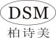 DSM Decorative Metal Products Factory
