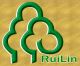RuiLin Timber Co., Ltd.