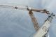 BETONCRANES EXPORT