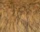 Jiashan Yongbang Artificial Fur co., Ltd.