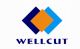 Shenzhen Wellcut Precision Mold Plastic CO., LTD