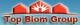 Top Blom Group Ltd