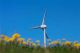 Liten Windpower Co., Ltd.