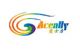 Aceally (Xiamen) Technology Co., Ltd