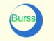 Burss Dental Abrasives Co., Ltd.