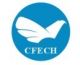 CFECH INDUSTRIAL  LIMITED