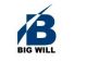 Big Will Industrial Limited
