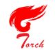 Jinan Torch Economy & Cooperation Co., Ltd.