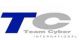 Teamcyber International Co. Ltd