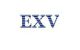 Exvision Technology Co., Ltd