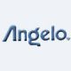 Angelo Brothers Company (India) Ltd.