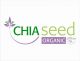 Chia Argentina