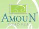 amoun for dead sea products