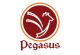 Pegasus Consultancy (Pvt) Ltd