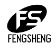 Zhejiang Fengsheng Electrical Co., Ltd