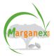 marganex