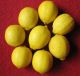 Goldking Lemon Planting Co., Ltd